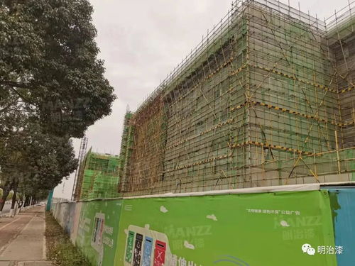 明治漆 最新工程动态分享 中山火炬高技术产业开发区第九小学建设工程