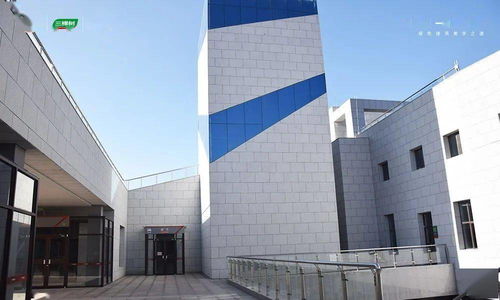 绿色冬奥,美丽中国 三棵树助力延崇高速项目圆满完成