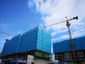 期待已久的青春里将于7月10 19日限量发售vip认筹卡,7月21日盛大开盘