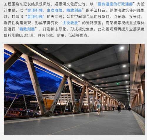 这里的夜景超美
