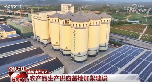 假期坚守一线勇担当 推进重大工程项目建设按下 加速键