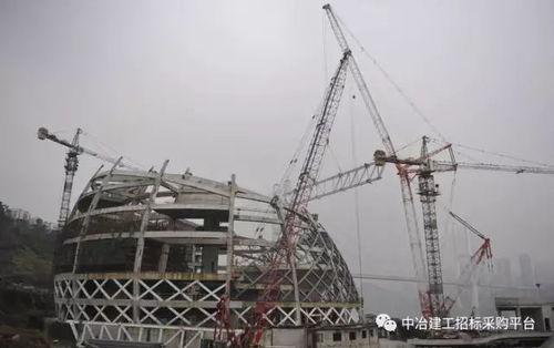 2 沙文生态科技产业园望达标准厂房项目应用中心钢网架 屋面系统工程专业分包